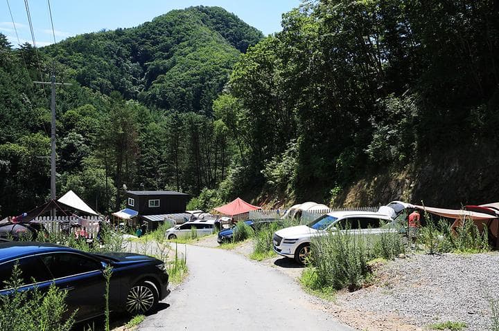 숲이야기