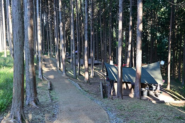 사천 케이블카 자연휴양림