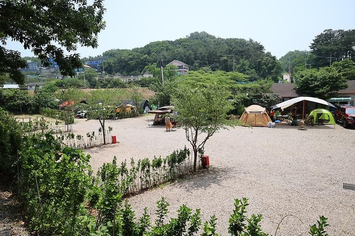 영흥도십리포캠핑장