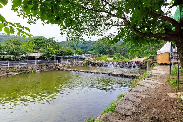 팔공 쉼터 야영장