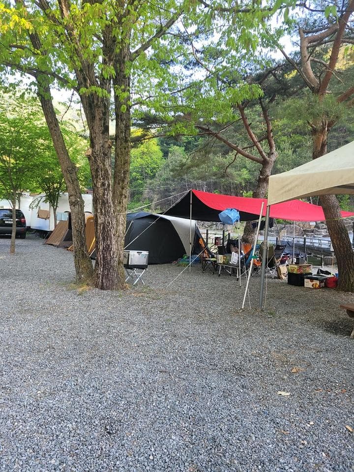 영월 엄둔밸리 계곡캠핑장