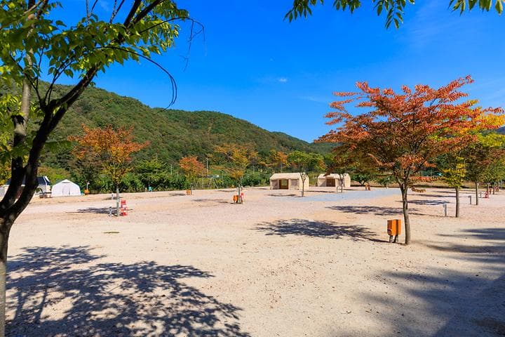 돌고래 오토 캠핑장