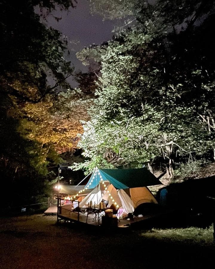 반달곰이 살던 숲