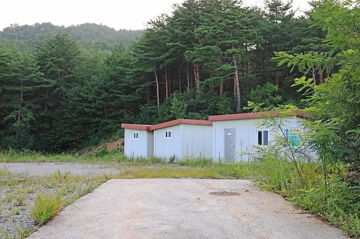 메이플 포레스트