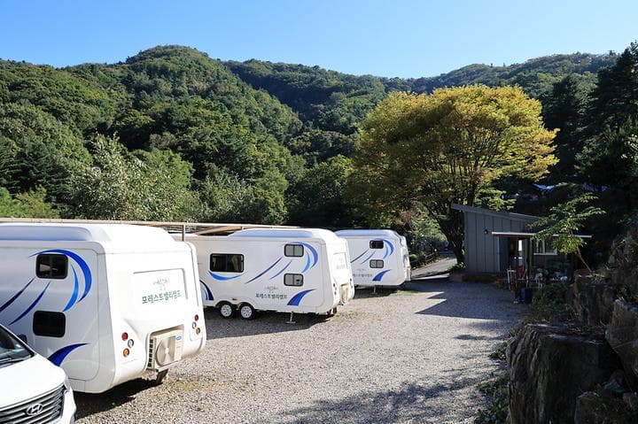 포레스트벨리캠프