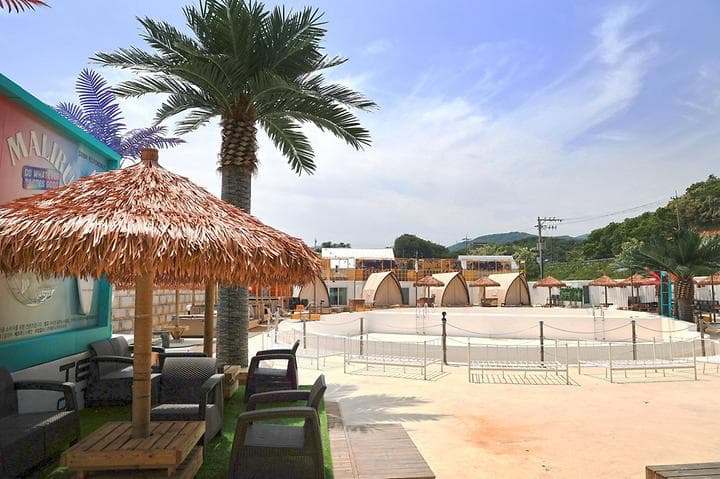 템플 온더 비치