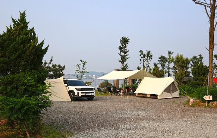 버드오토캠핑장