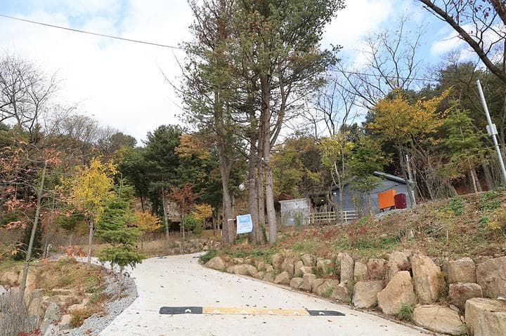 금동휴양림캠프3