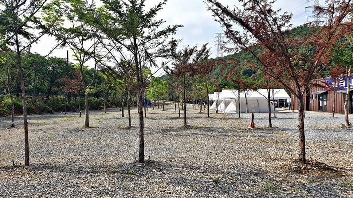 워터사이드 캠핑장