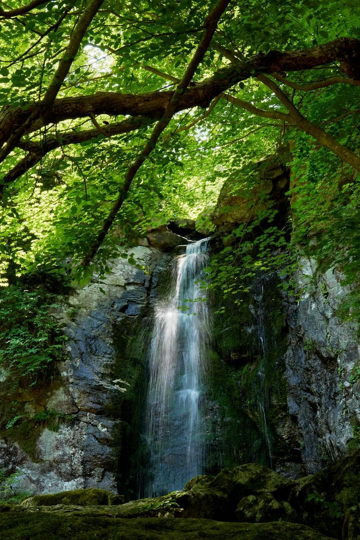 매월대폭포 캠핑장