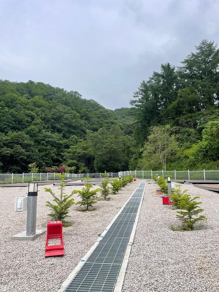 블루베리캠핑장