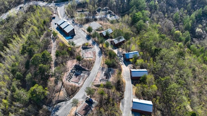 매봉산 천상의 숲