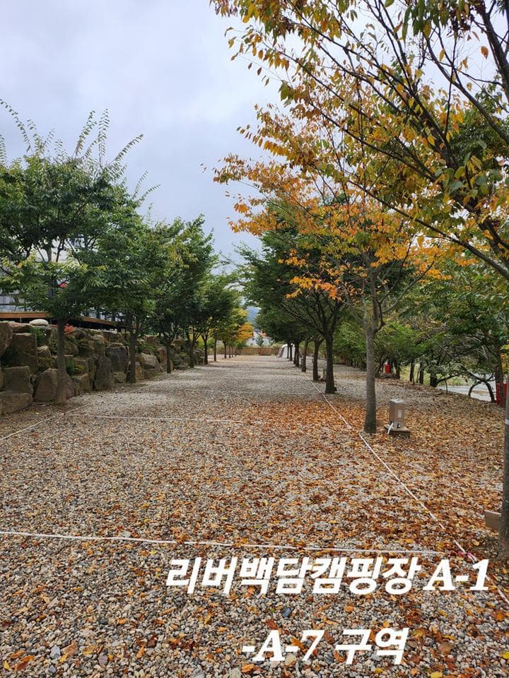 리버백담 캠핑장