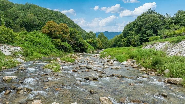 반딧불카라반캠핑장