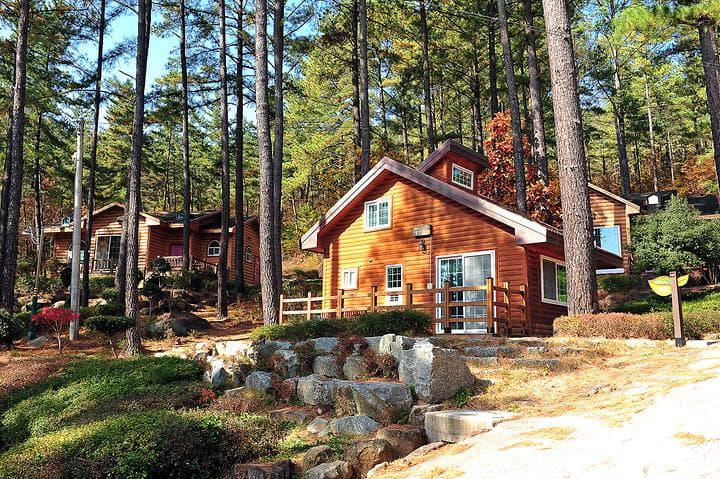 백운산 자연휴양림 야영장