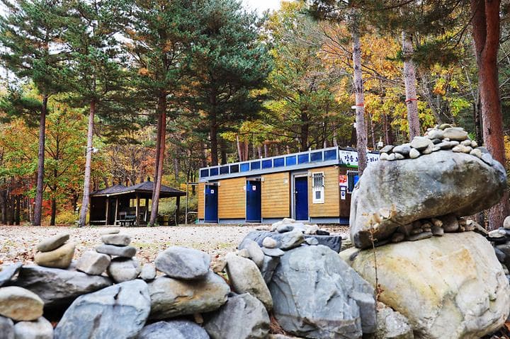 강릉 노추산 힐링캠프