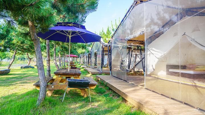 파인트리글램핑