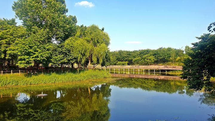 소풍정원 캠핑장