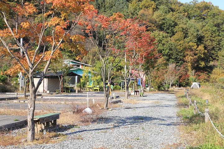 여울애꽃물들인