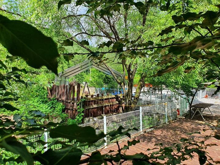 영월천문대 캠핑장