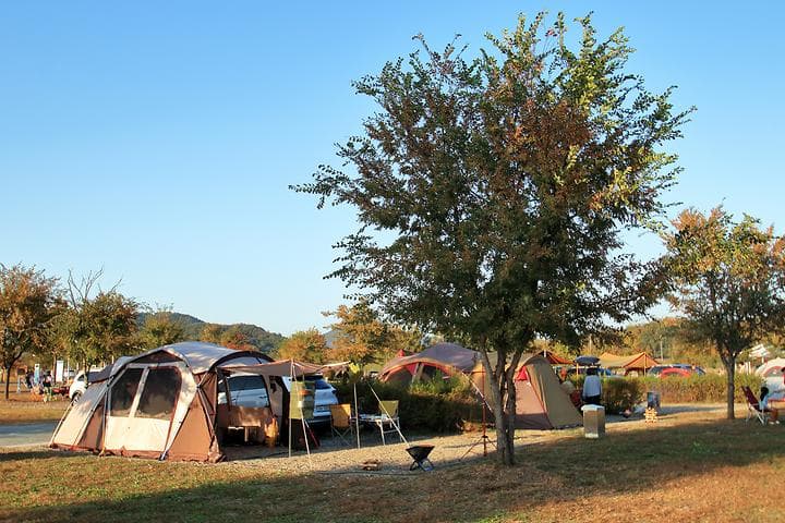 대신 오토 캠핑장