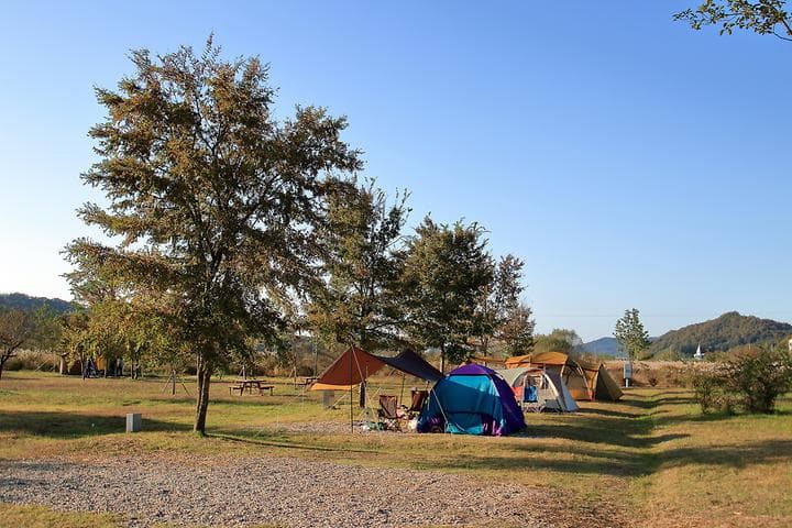 대신 웰빙 캠핑장