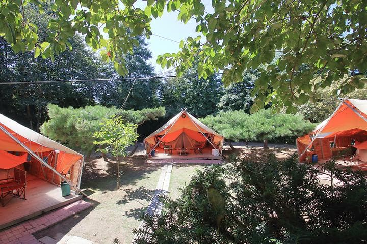 초락나루펜션&글램핑