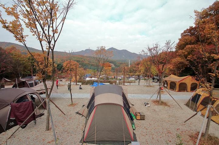 초막골생태공원 느티나무야영장