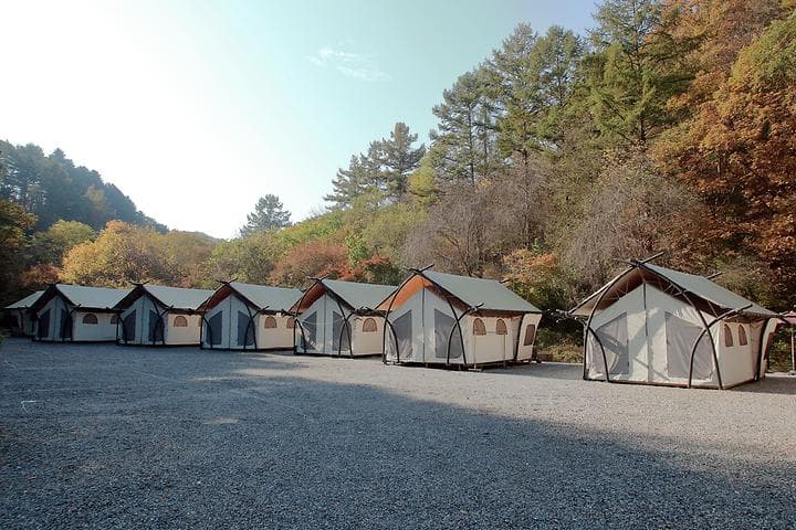 석산계곡 코코비발디글램핑 카라반 오토캠핑장