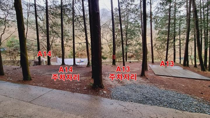 편백힐 치유의숲 야영장