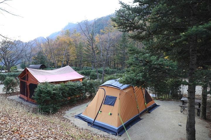 금대자동차야영장(치악산국립공원)