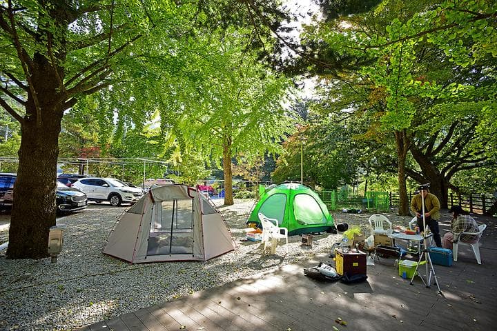 달빛고운 병곡캠핑장