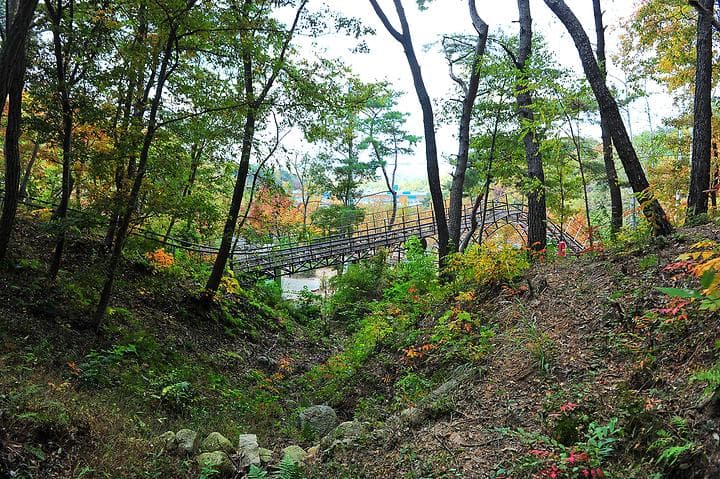 입화산 참살이숲 제2오토야영장