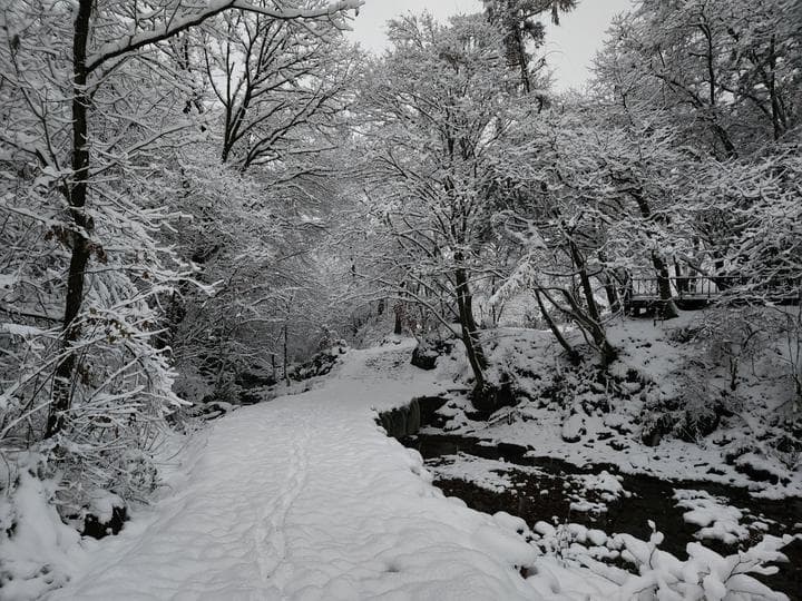 쿼크밸리캠프 야영장