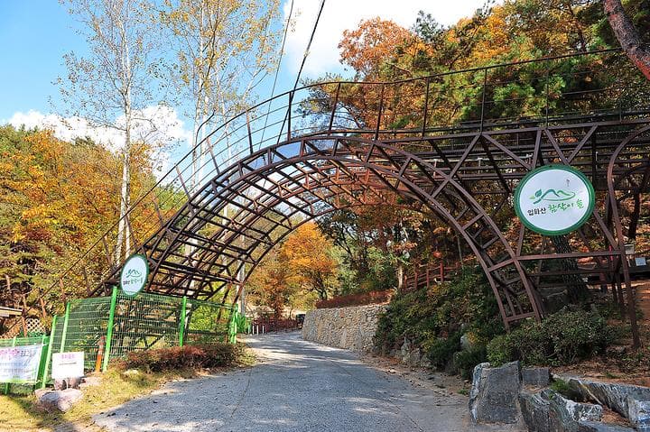 입화산참살이숲야영장