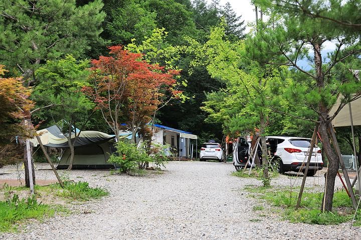 포시즌캠핑장