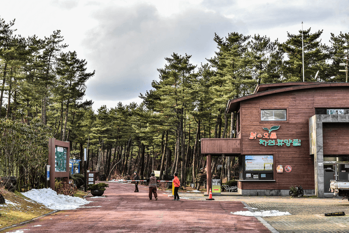 붉은오름 자연휴양림 숲속 야영장