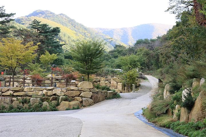 양양오색 휴랜드 야영장