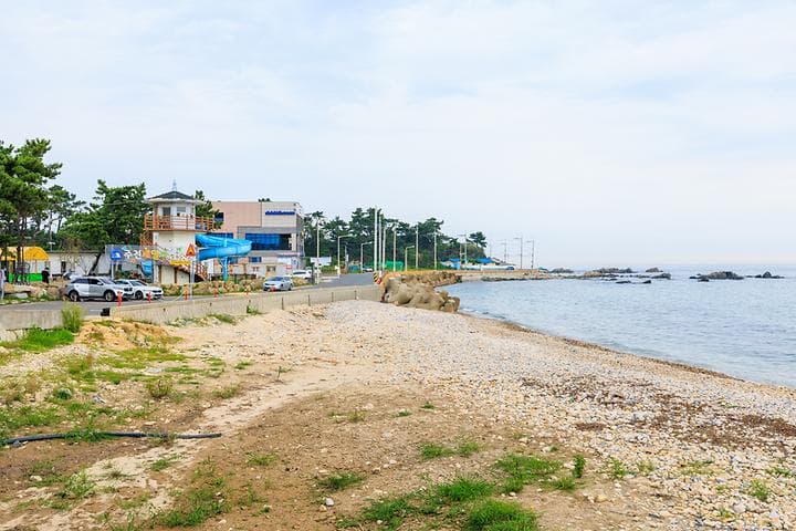 주전패밀리캠핑장