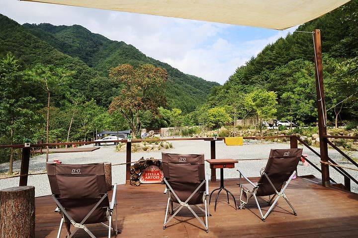 그린필로우